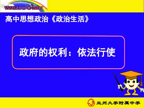 政府的权力：依法行使  公开课课件
