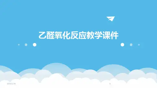 2024版乙醛氧化反应教学课件