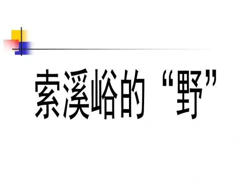 4、《索溪峪的野》
