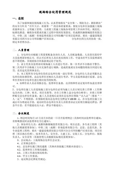 现场综合处罚管理规范 (1)