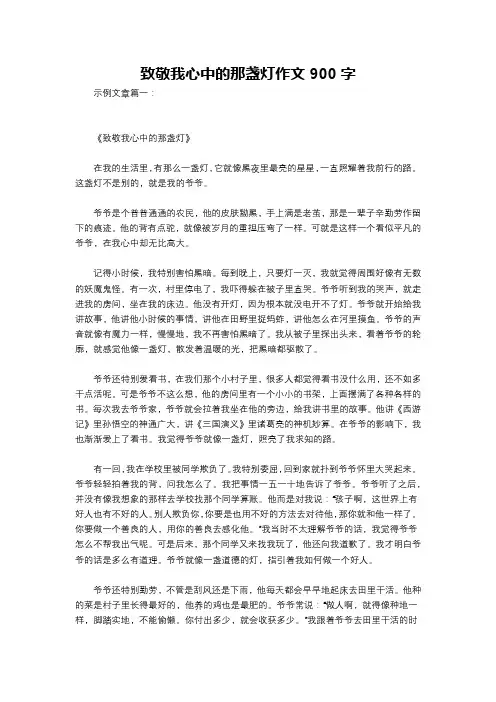 致敬我心中的那盏灯作文900字