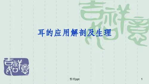 耳解剖ppt课件
