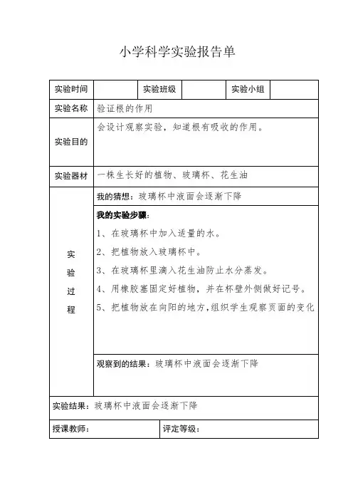 四年级科学上册实验报告单