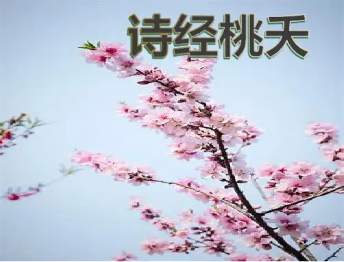 高教版中职语文基础模块下册《诗经 桃夭》课件