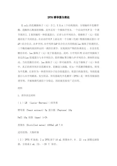 IPTG诱导蛋白表达