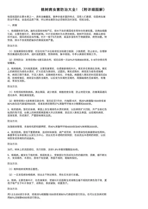 桃树病虫害防治大全！（附详细图解）