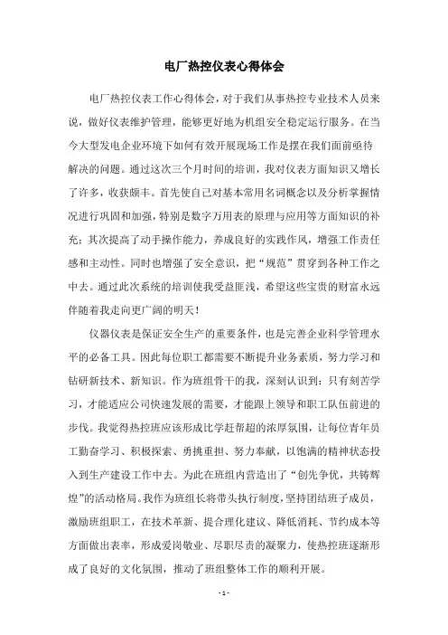 电厂热控仪表心得体会