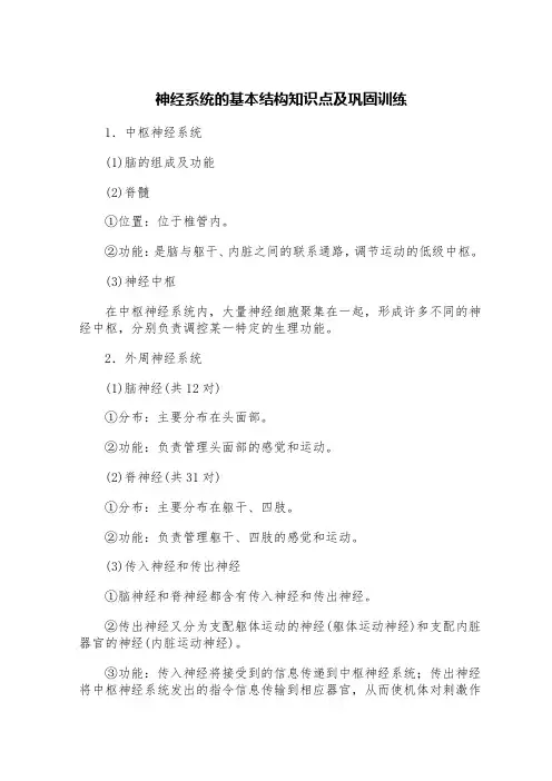 神经系统的基本结构知识点及巩固训练