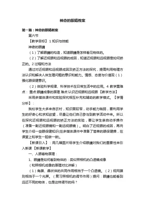 神奇的眼睛教案