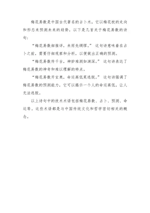 关于梅花易数的诗句