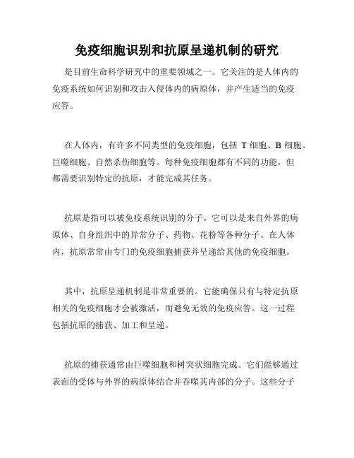 免疫细胞识别和抗原呈递机制的研究