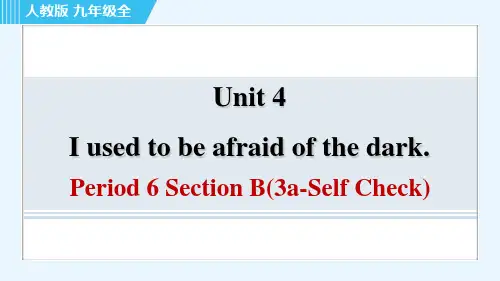 人教版九年级全一册英语同步培优Unit 4 Period 6 Section BSelf Check