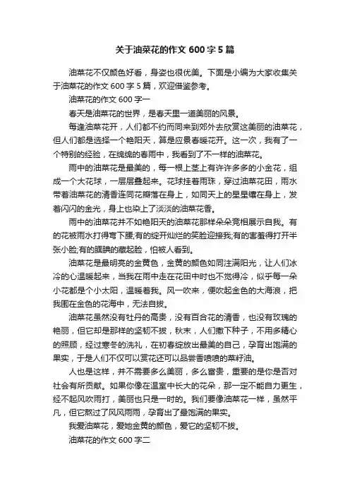 关于油菜花的作文600字5篇