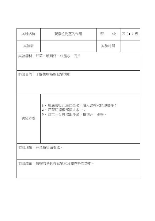湘教版四年级上科学实验报告单.docx