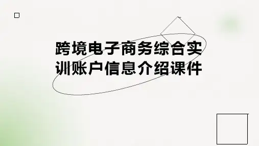 跨境电子商务综合实训账户信息介绍课件