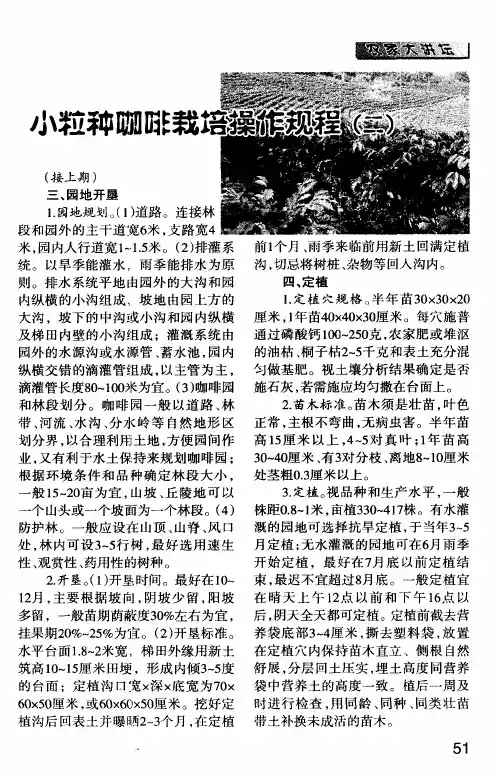 小粒种咖啡栽培操作规程(二)