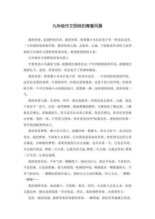 九年级作文别样的青春风景