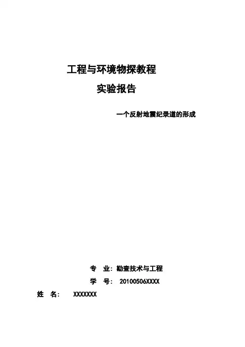 工程与环境物探实验报告