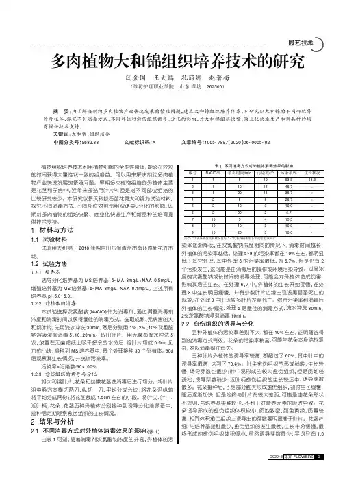 多肉植物大和锦组织培养技术的研究