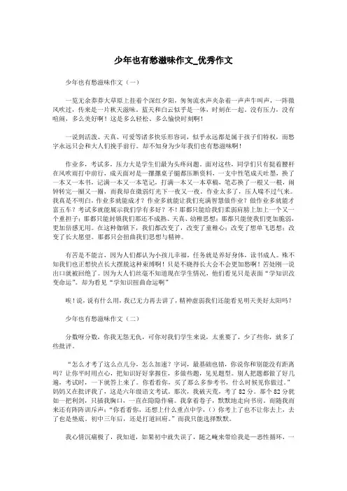 少年也有愁滋味作文_优秀作文.doc