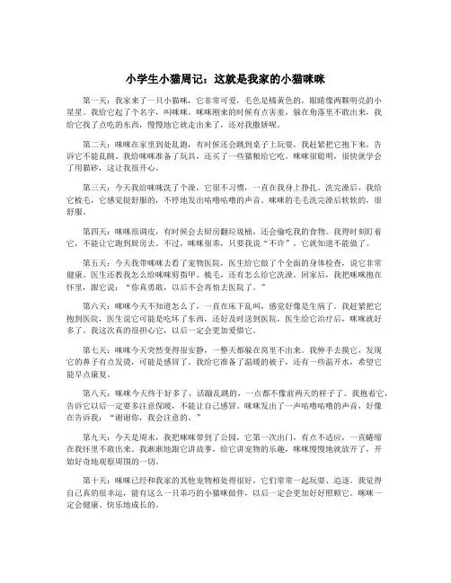 小学生小猫周记：这就是我家的小猫咪咪