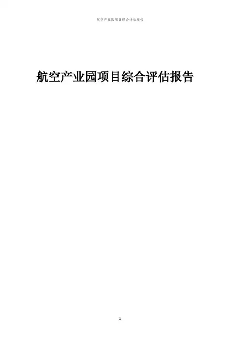 2023年航空产业园项目综合评估报告