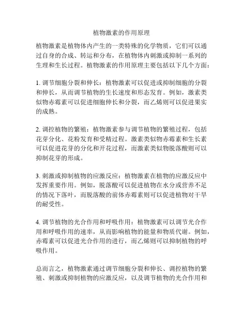植物激素的作用原理