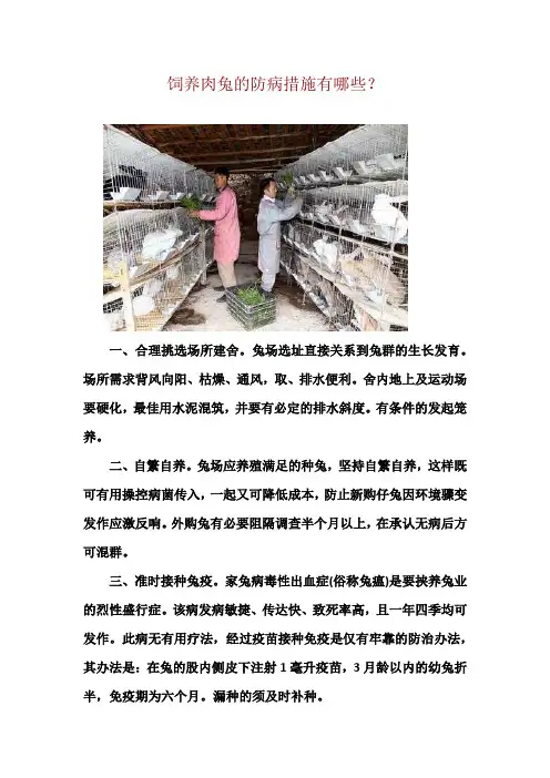 饲养肉兔的防病措施有哪些？