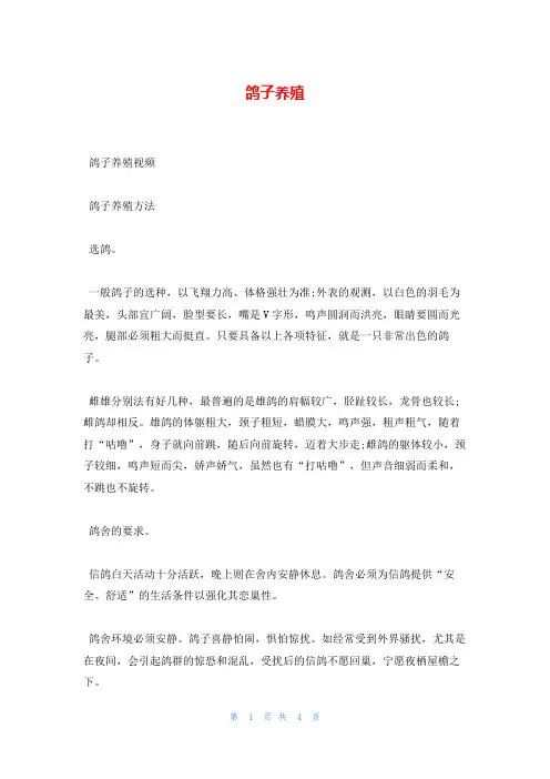 鸽子养殖_精品文档