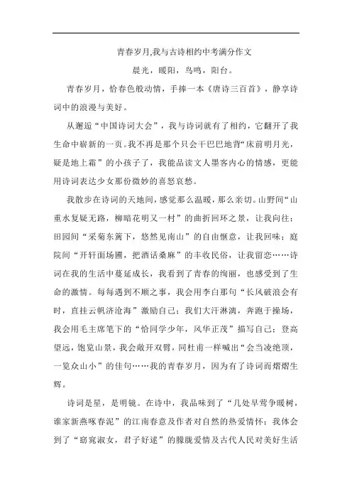 青春岁月,我与古诗相约中考满分作文
