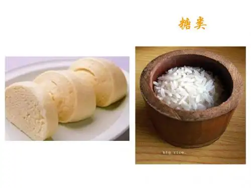 糖类结构与功能
