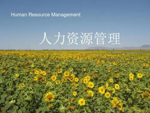 人力资源管理的基本原理与黄金法则PPT课件