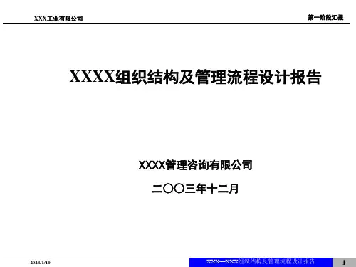 公司组织结构设计报告