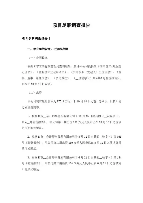 项目尽职调查报告_1