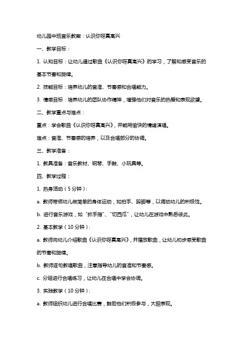 幼儿园中班音乐教案：认识你呀真高兴