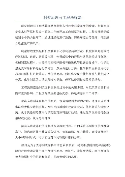 制浆原理与工程洗筛漂