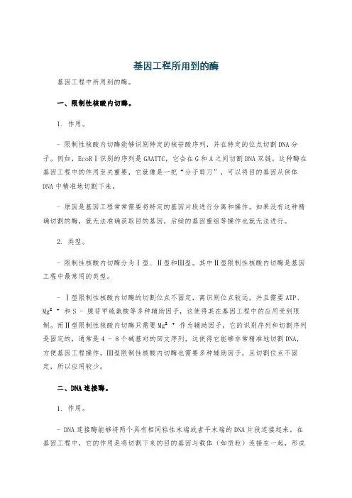 基因工程所用到的酶