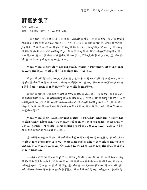 孵蛋的兔子