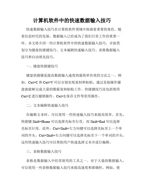 计算机软件中的快速数据输入技巧