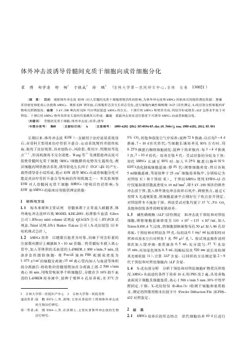 体外冲击波诱导骨髓间充质干细胞向成骨细胞分化