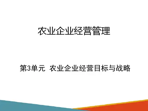 农业企业经营目标与战略—经营战略管理的程序