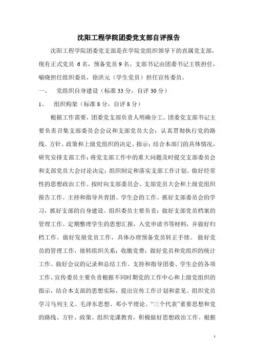 团委党支部自评报告