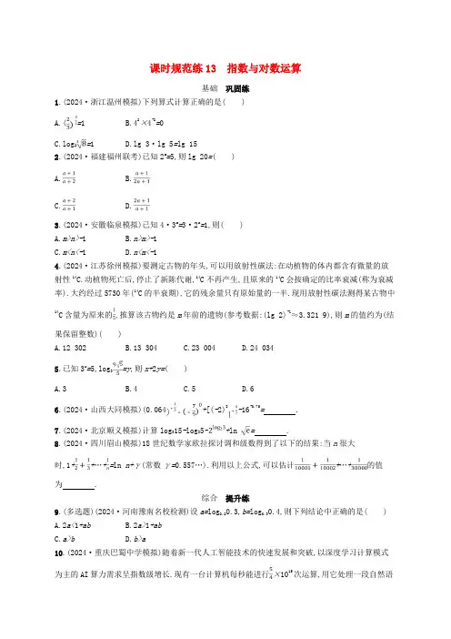 适用于新高考新教材备战2025届高考数学一轮总复习课时规范练13指数与对数运算新人教A版