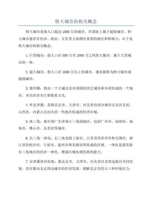 特大城市的相关概念