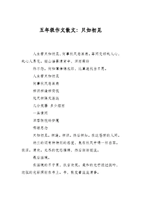 五年级作文散文：只如初见