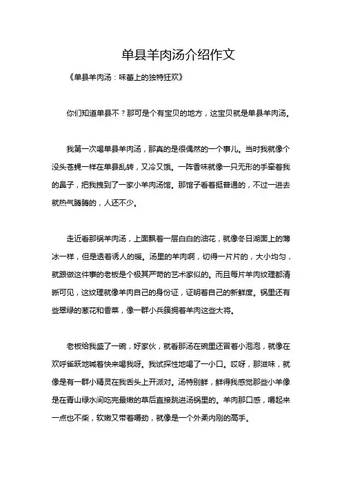 单县羊肉汤介绍作文