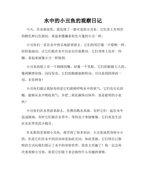 小学三年级作文水中的小丑鱼的观察日记
