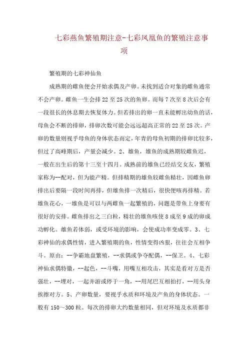 七彩燕鱼繁殖期注意-七彩凤凰鱼的繁殖注意事项