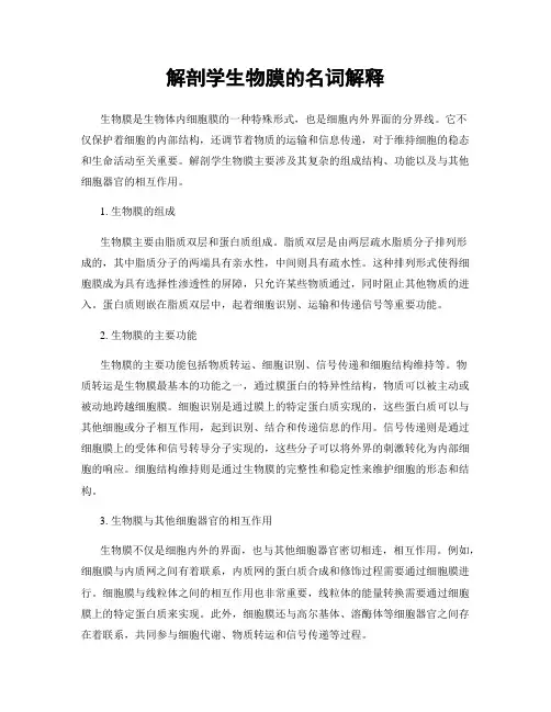 解剖学生物膜的名词解释