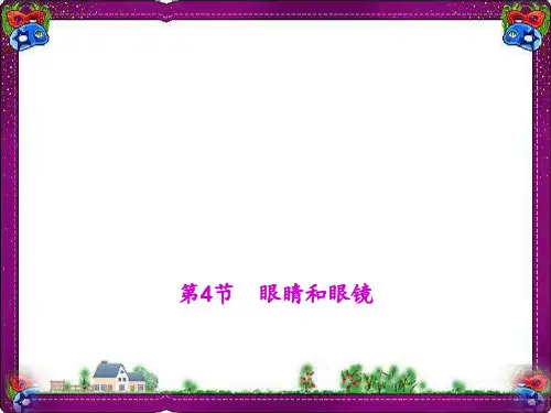 眼睛和眼镜 (公开课)获奖课件
